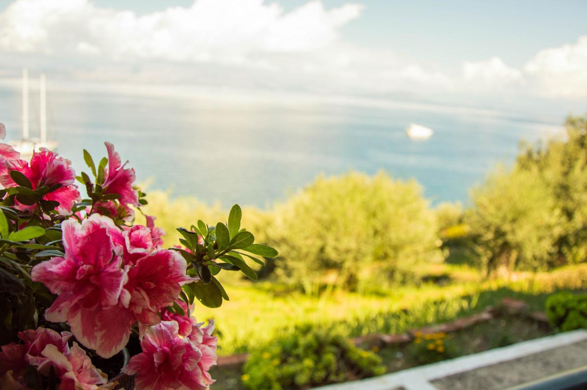 Marianna Country house